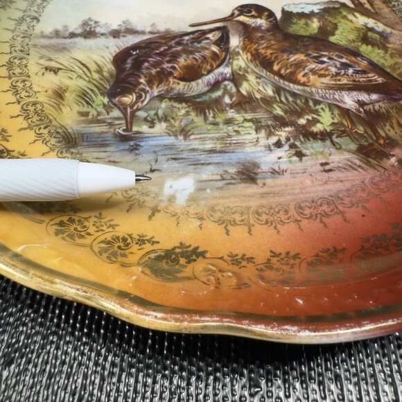 German Bavaria Fine Porcelain Dish Plate Bird Sandpiper Birds Ornate Plate 9.5” - Picture 6 of 15